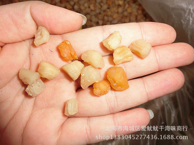 北海干貝瑤柱 一手貨源的漁民直達(dá)營(yíng)養(yǎng)之選