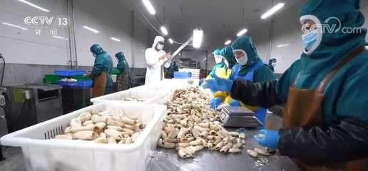 大食物觀引領(lǐng)水產(chǎn)產(chǎn)業(yè)升級(jí) 預(yù)制菜如何延長(zhǎng)水產(chǎn)養(yǎng)殖價(jià)值鏈